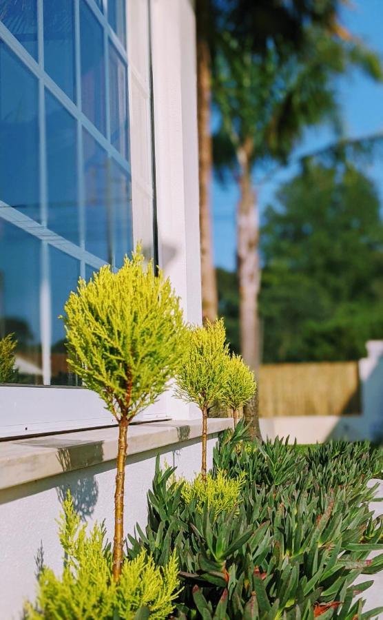 فيلا The Palm House أوفار المظهر الخارجي الصورة