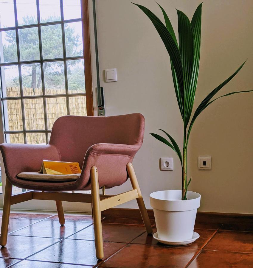 فيلا The Palm House أوفار المظهر الخارجي الصورة