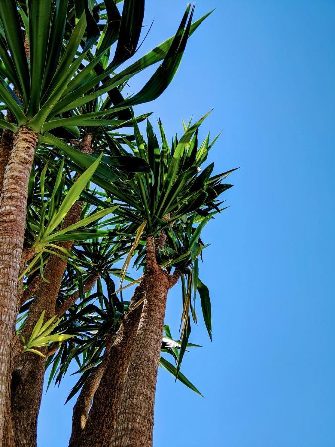 فيلا The Palm House أوفار المظهر الخارجي الصورة